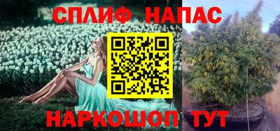 наркотики Будённовск
